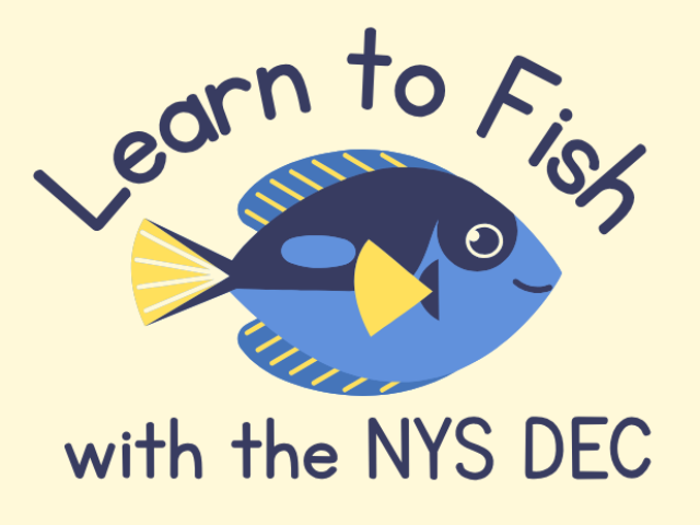 Learn to Fish 1